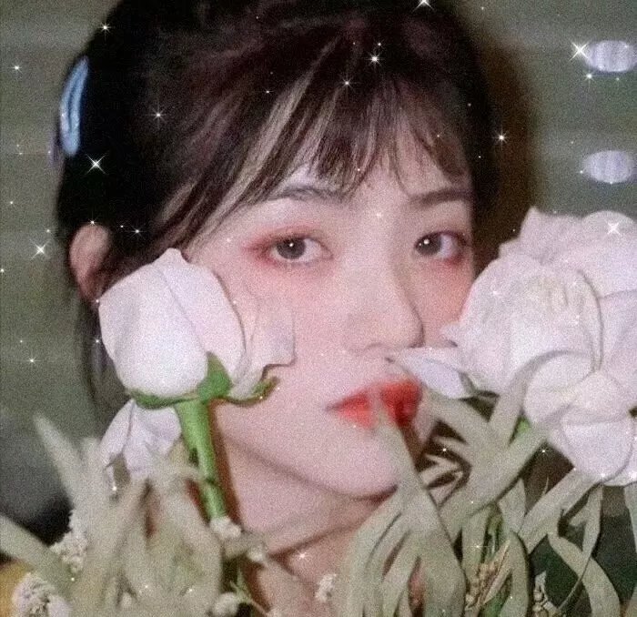 与霍莉同过圣诞